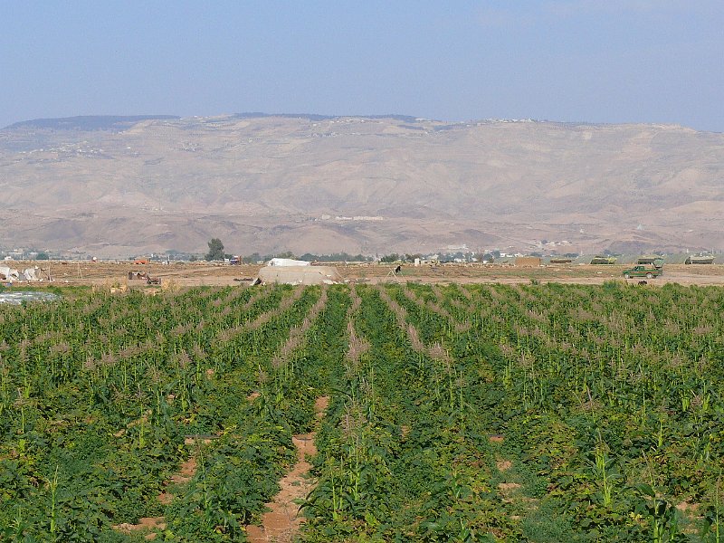 Mount Nebo (40).jpg